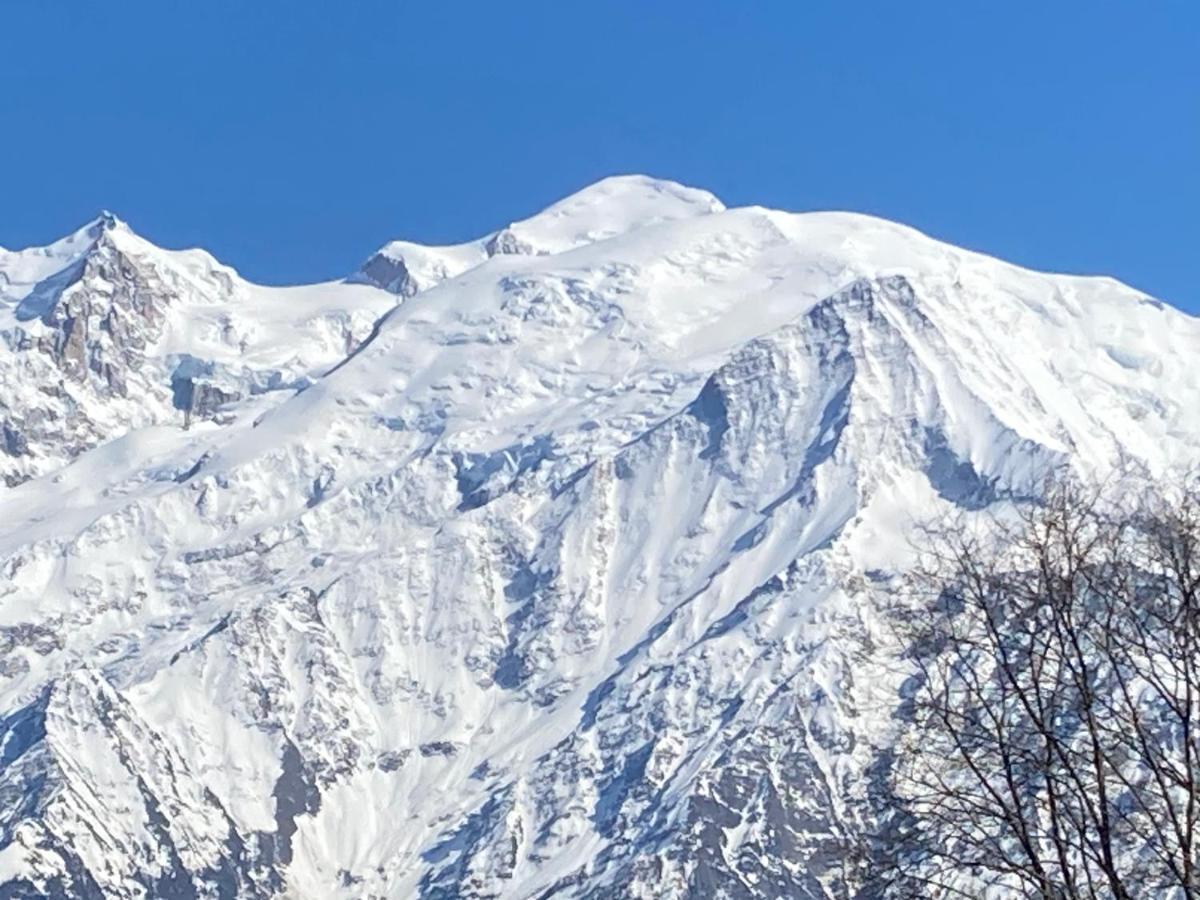 Les Edelweiss Mont-Blanc - Gite Classe 3 Etoiles Passy  Eksteriør billede