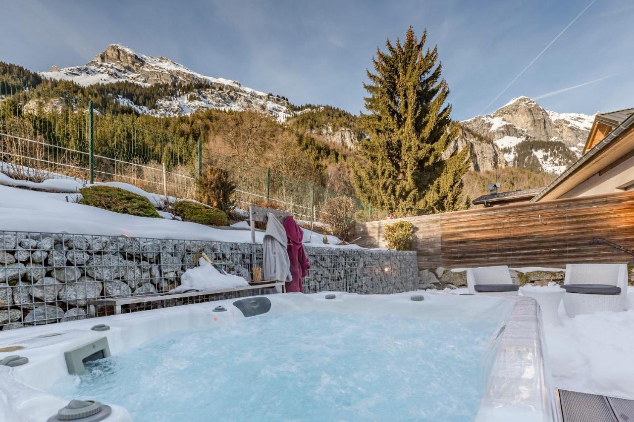 Les Edelweiss Mont-Blanc - Gite Classe 3 Etoiles Passy  Eksteriør billede