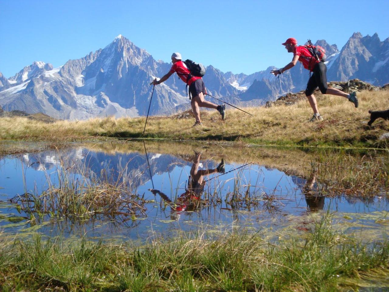 Les Edelweiss Mont-Blanc - Gite Classe 3 Etoiles Passy  Eksteriør billede