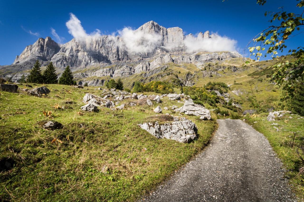 Les Edelweiss Mont-Blanc - Gite Classe 3 Etoiles Passy  Eksteriør billede